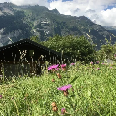 Huisje aan de piste in de zomer, alpenwei met bloemen